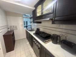 Leedon 2 (D10), Condominium #517968421